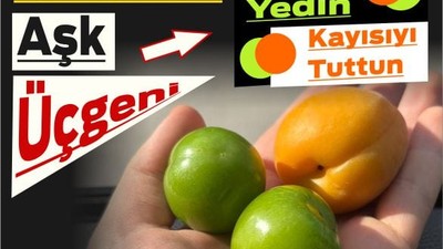 Eriği Yedin, Kayısıyı Tuttun