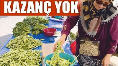 20 Yıllık Emek, 30 Liralık Salatalık
