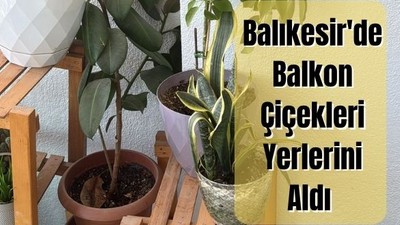 Yazın Renkleri Balıkesir Balkonlarında