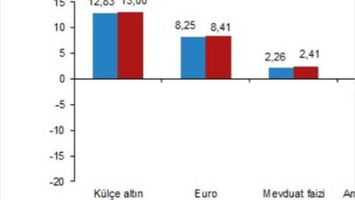 Mayıs Ayında En Yüksek Reel Getiri Mevduat Faizinde!