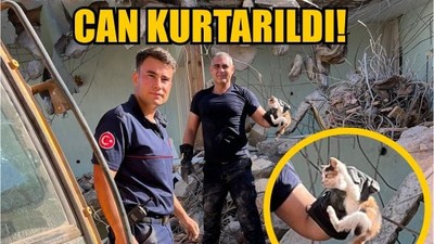 Molozların Arasından Can Kurtarıldı!