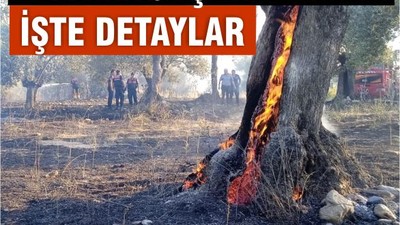 Edremit'te Zeytin Ağaçları Alev Alev Yandı!