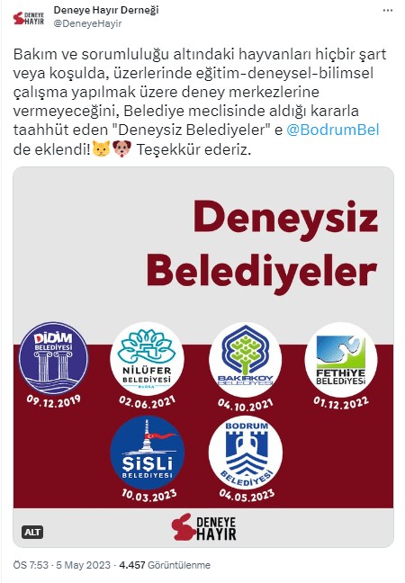 Deneysiz Belediyecilik Nedir?