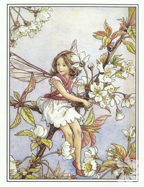 Bir aşk hikayesi: Sakura efsanesi