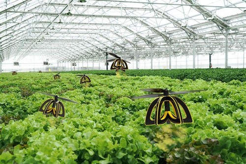 bee-project-810x541