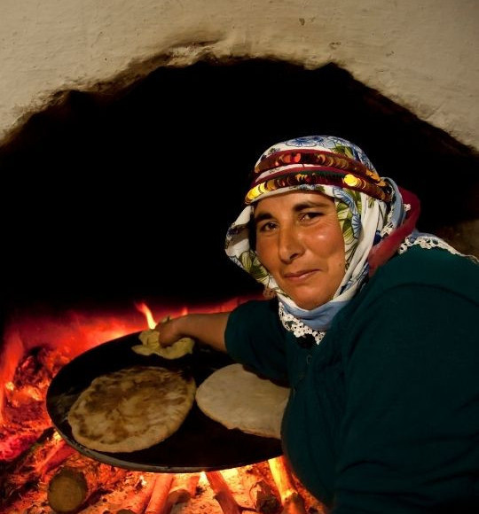 Balıkesir'de Doğanların 3 Özelliği