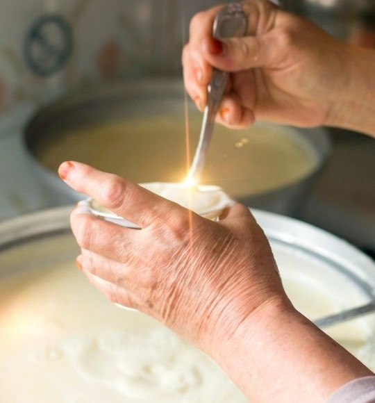 Balıkesir Sütünü Özel Kılan Nedir?