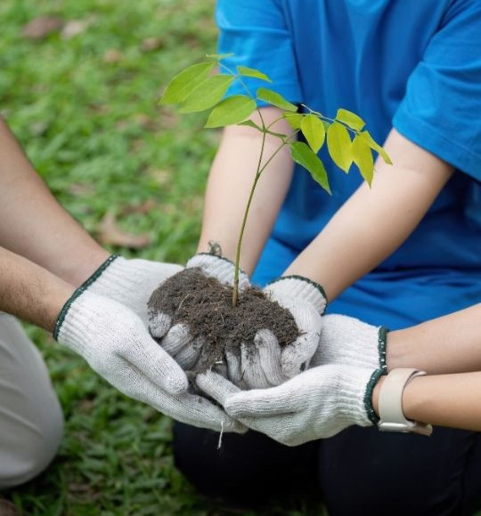 Balıkesir’de Fidan Dikim Etkinliği 18 Kasım’da Yapılacak