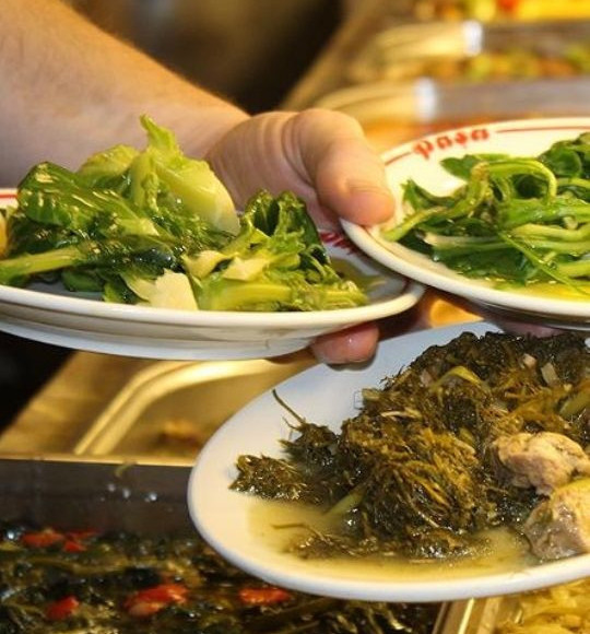 Balıkesir’in Şifalı Otları: Tere, Ebegümeci ve Gelincik