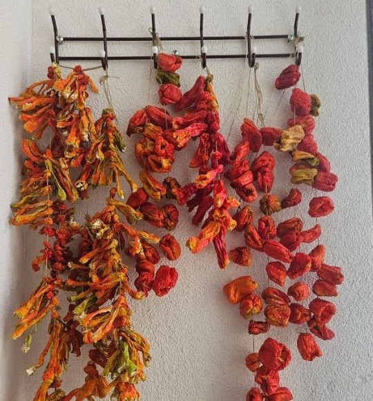 Balıkesir’de Köy Evlerini Kurutulmuş Biber ve Patlıcanlar Süslüyor