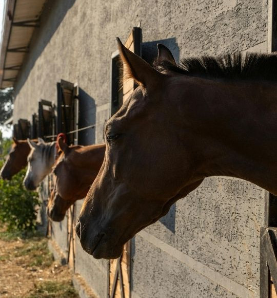 Yarıyıl Tatilini Balıkesir'de Değerlendirmenin 4 Yolu
