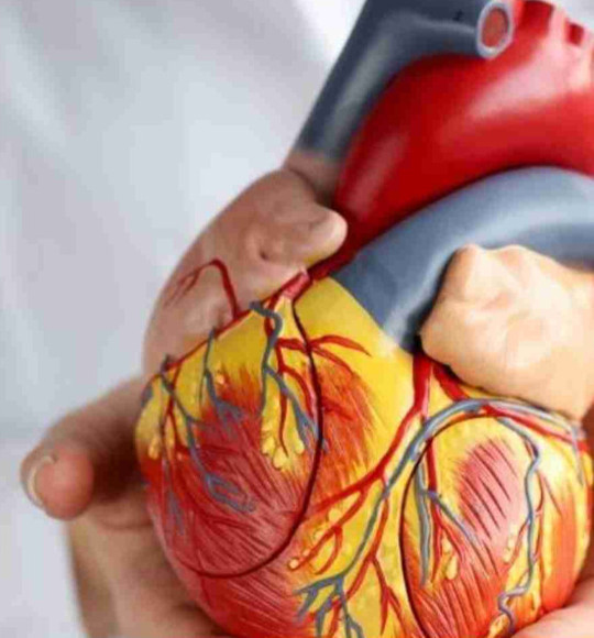 Sıcak Havada Kalbiniz Alarm Verebilir