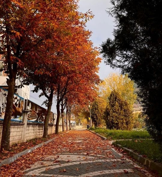 Dursunbey’de Sonbahar Manzaraları - Resim: 8