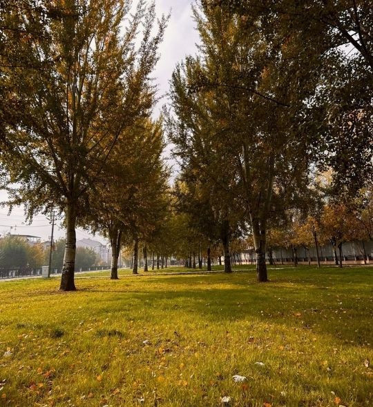 Dursunbey’de Sonbahar Manzaraları - Resim: 7