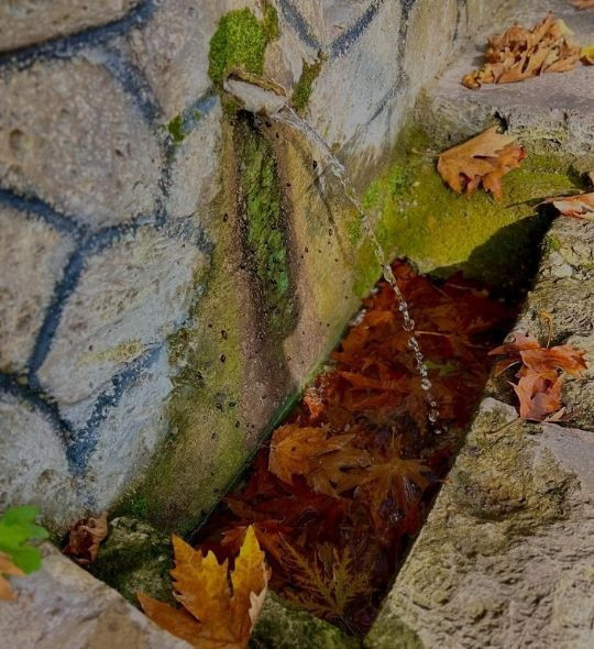 Dursunbey’de Sonbahar Manzaraları - Resim: 4