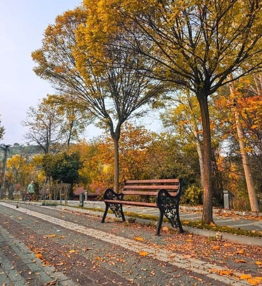 Dursunbey’de Sonbahar Manzaraları - Resim: 2