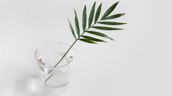 Minimalist Yaşam Nedir?