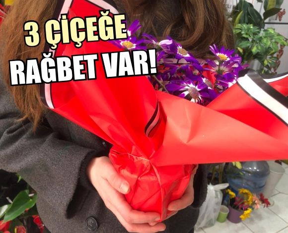 Balıkesir’de Nisan Ayında Tercih Edilen O Çiçek! 