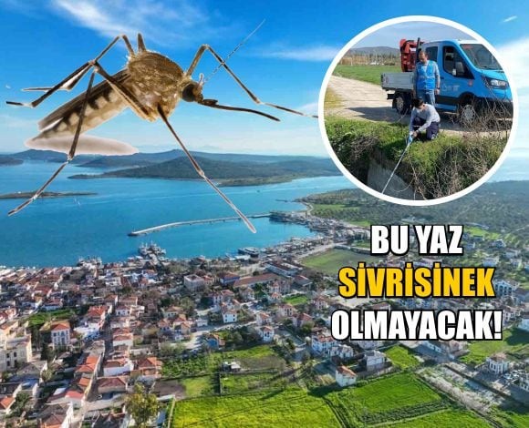 Sivrisineksiz Yaz Için Büyükşehir Seferber