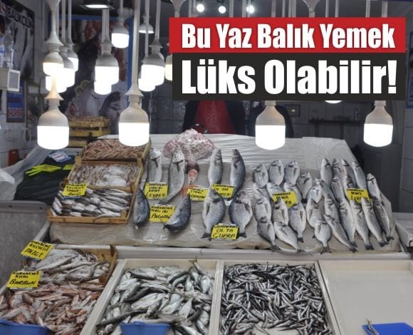20 Yıllık Balıkçıdan Uyarı: “Av Yasağıyla Fiyatlar Uçacak”
