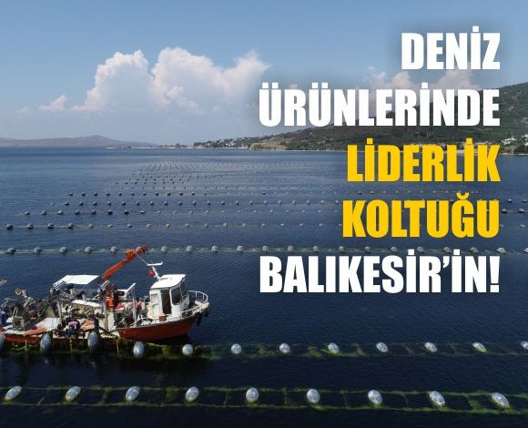 Balıkesir, Midye Üretiminde Türkiye’nin Lideri