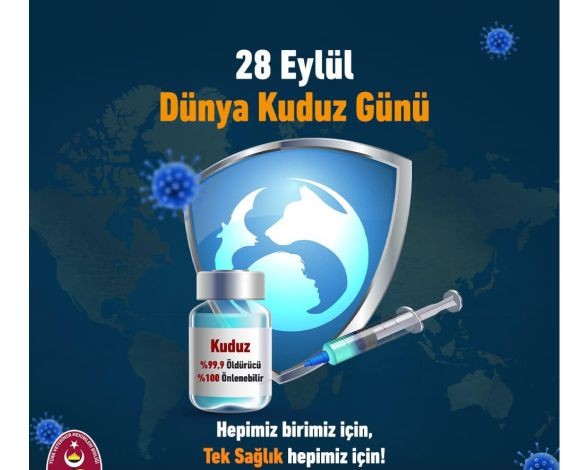 Her Kuduz Vakasında “Sahipsiz Hayvan Popülasyonu” Karşımıza Çıkıyor