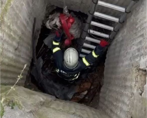 7 metrelik kuyuya düşen keçi için seferber oldular