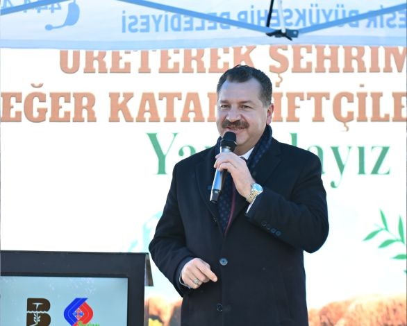 Büyükşehir, Sındırgı’da 550 damızlık dağıttı
