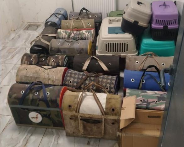 Horoz Koruma Derneğine ‘Horoz Dövüşü' operasyonu