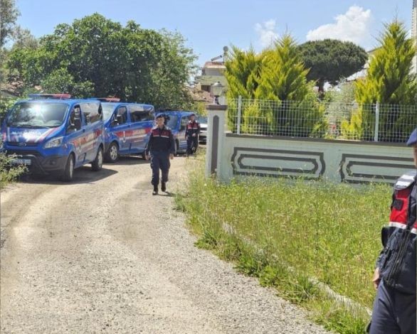 Balıkesir'de zeytinlik içine villa yapmaya kalkan kiracıyı jandarma çıkardı