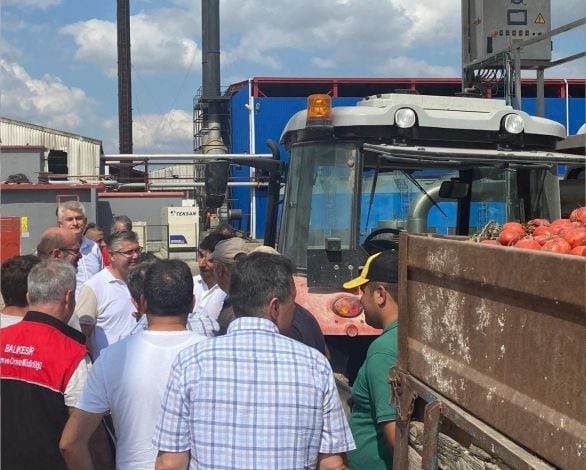 Ovaköy’de Domates Hasadı ve Tarım Bilgilendirmesi