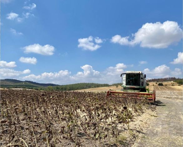 Balıkesir İl Tarım ve Orman Müdürlüğü Aslıhantepecik'te Toplantı yaptı