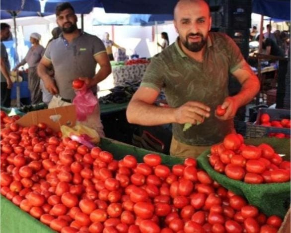 Pazarda Domates Savaşı: Sofralık mı, Salçalık mı?