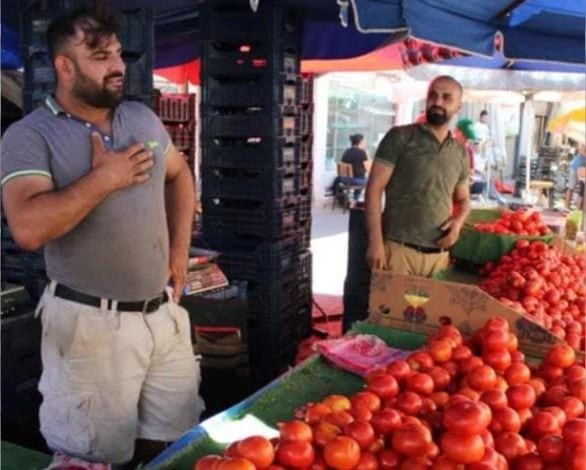 Pazarda Domates Savaşı: Sofralık mı, Salçalık mı?