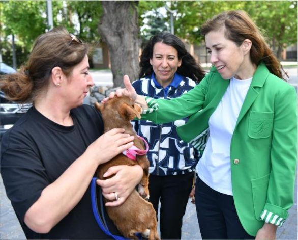 VETBÜS’ün tedavi ettiği can dost sahiplendirildi