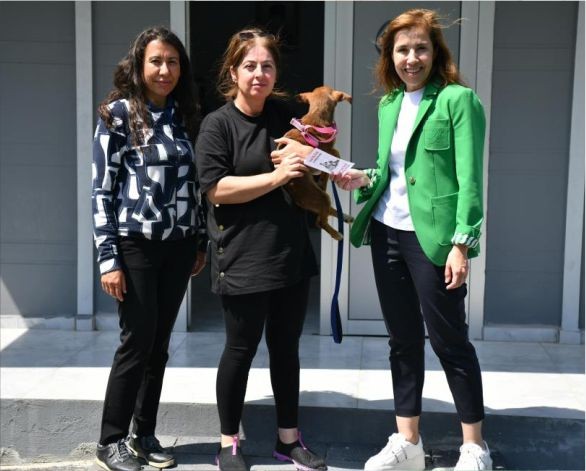 VETBÜS’ün tedavi ettiği can dost sahiplendirildi