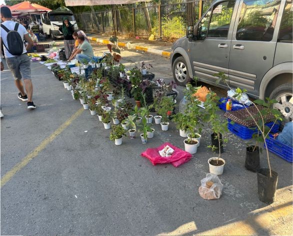 Balıkesir'de Çiçek Fiyatları