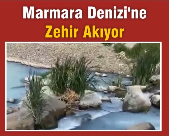 Balıkesir’de Kimyasal Skandal! Marmara Denizi Tehlikede
