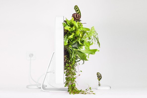 Apple Bilgisayarları Saksıya Dönüştüren Proje: Plant Your Mac