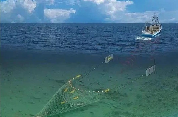 Büyükşehir Ayvalık’ta yasa dışı trol ağını temizledi