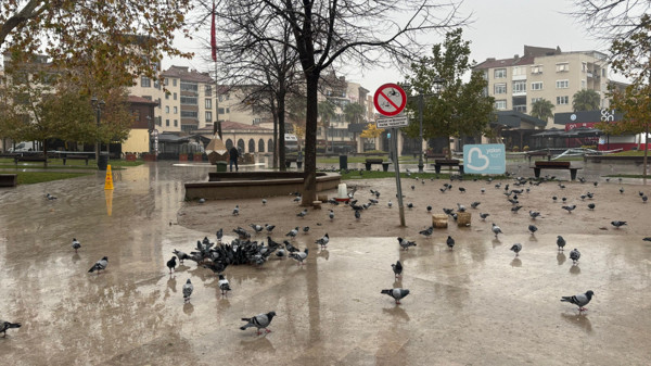 Balıkesir'de 20-24 Aralık hava durumu: Yağmur ve sisli hava etkili olacak