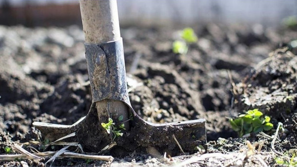 Resmî Gazete’de Çıkmıştı: Gübrede Gümrük Vergisi Sıfırlandı