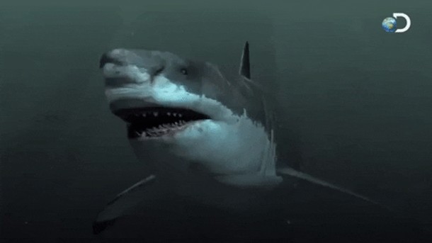 Meg 2 Vizyonda!