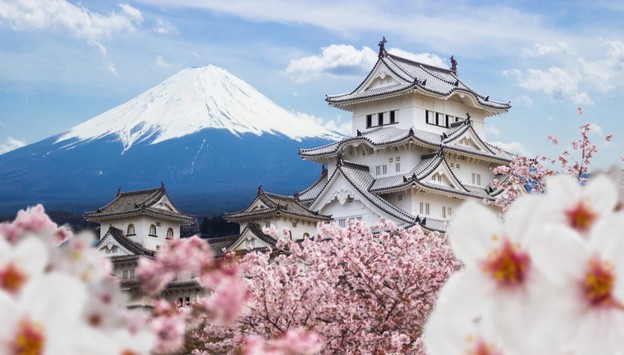 Yeniden Doğuşun Simgesi: Sakura