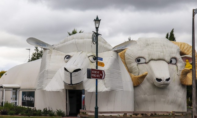 big dog and sheep
