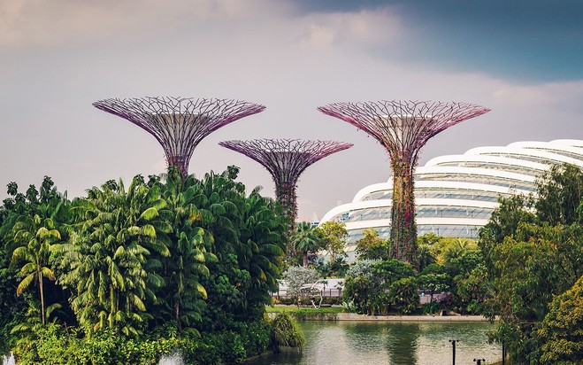 Gardens by the Bay, Singapur