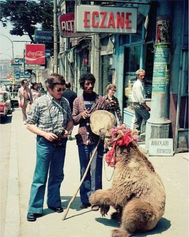 ayı oyunu