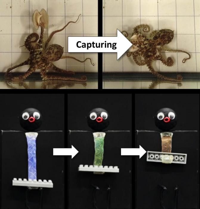 Ahtapot gibi renk değiştiren robot geliştirildi - 1. resim