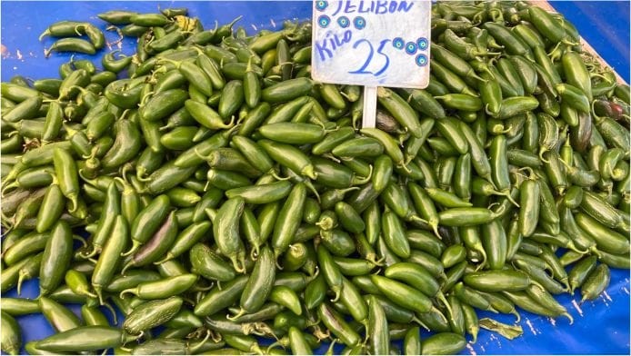 Jelibon Biberin Kilosu 25 tl oldu