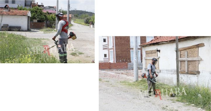 Tırpan ve Temizlik Çalışmaları